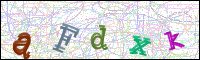 Afbeeldingsverificatie
