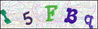 Afbeeldingsverificatie