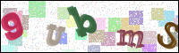 Afbeeldingsverificatie